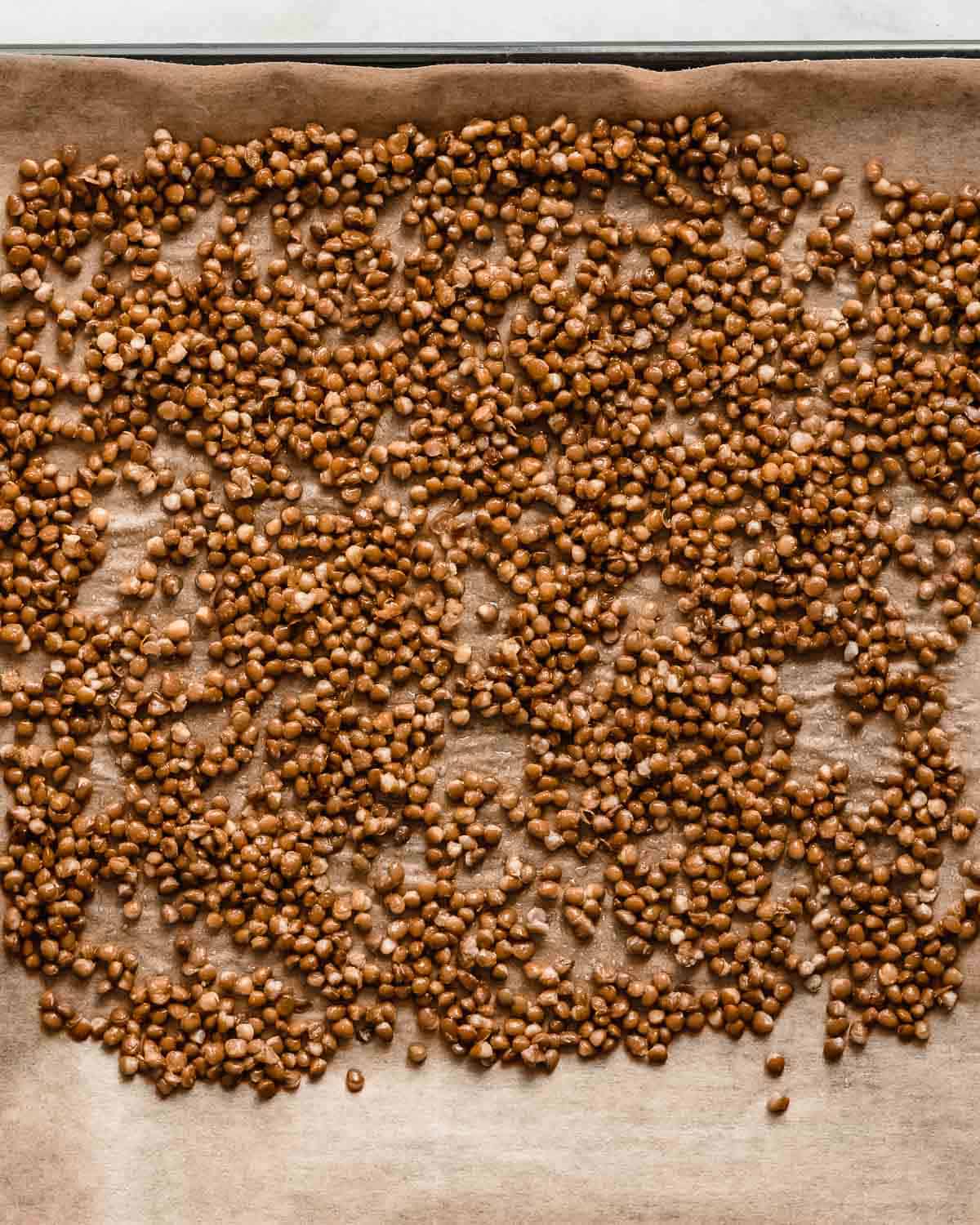 cooked lentils spread out on a baking tray lined with parchment paper.