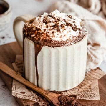 hot chocolate topped with whipped cream and cocoa powder.
