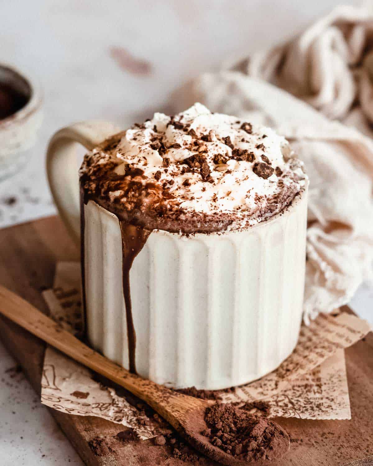 hot chocolate topped with whipped cream and cocoa powder.