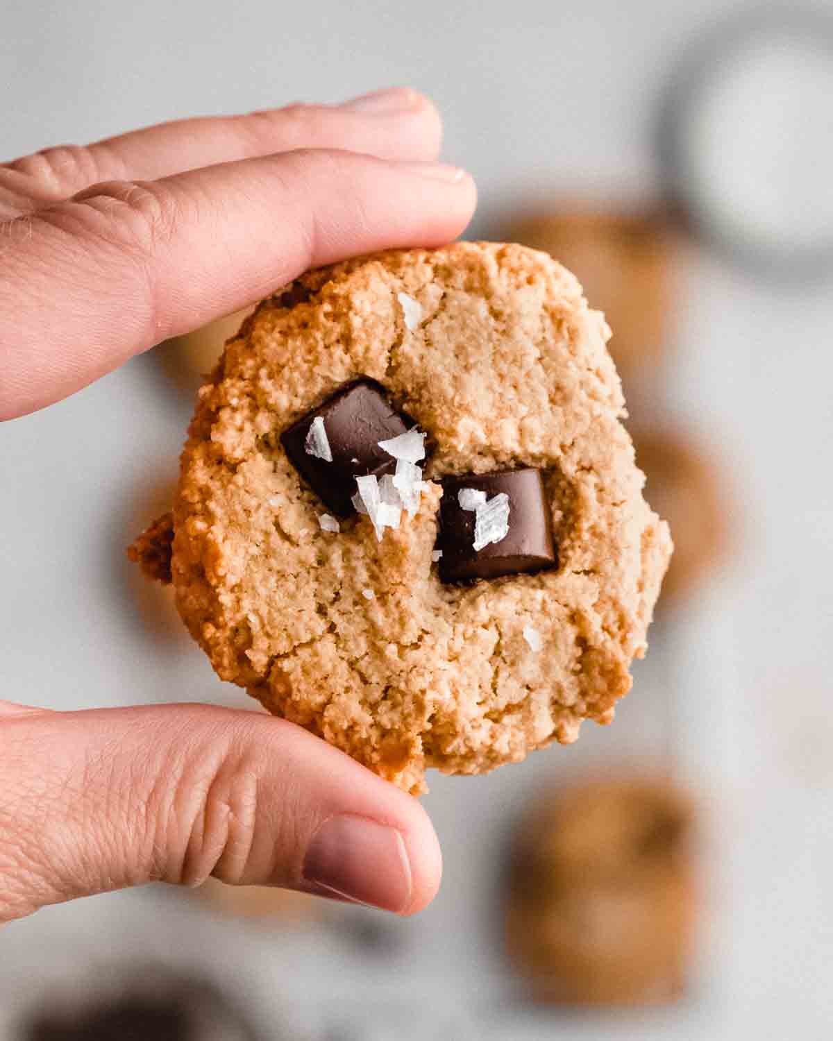 close up of 1 low calorie chocolate chip cookie.