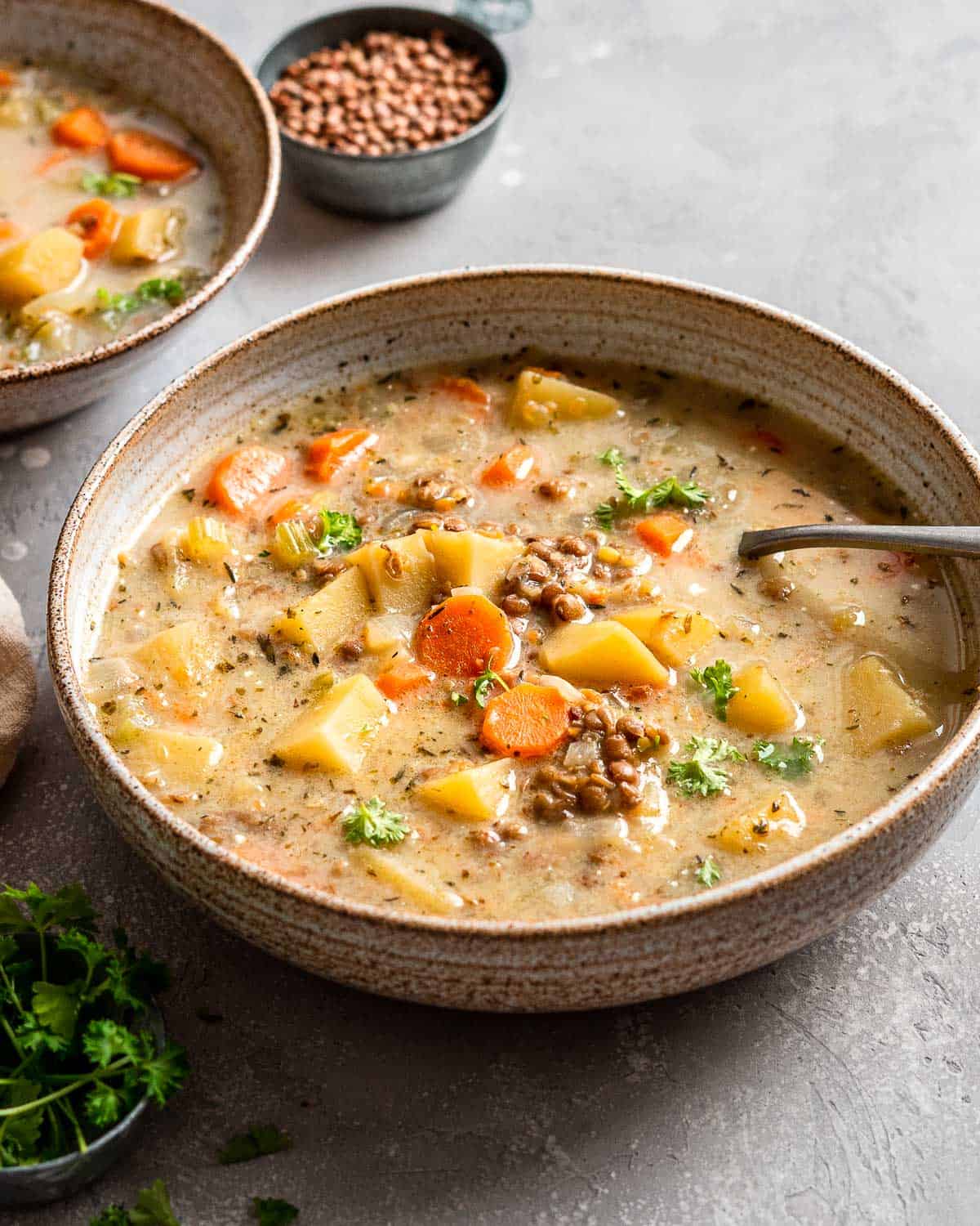 big bowl of vegetarian lentil soup topped with fresh parsley.