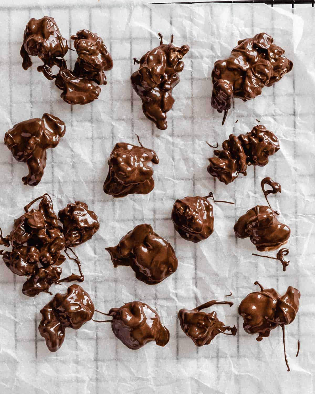 chocolate covered walnuts on parchment paper.