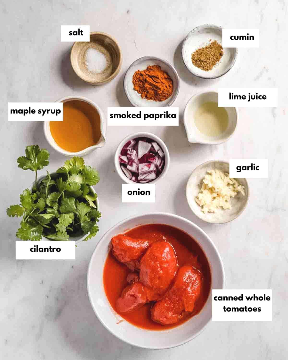ingredients for salsa with canned tomatoes.
