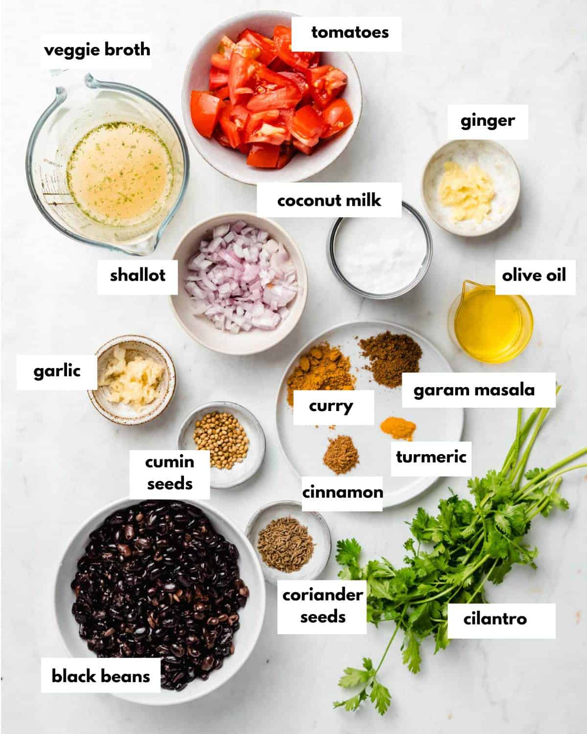 All ingredients needed to make this black bean curry.